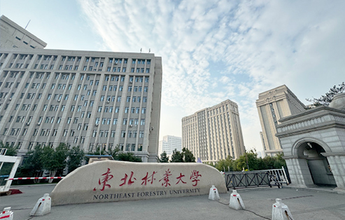 東北林業大學科研樓/物理樓